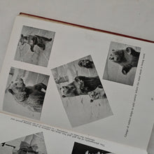 Load image into Gallery viewer, New Ways in Photographic Printing Ross Inglis Lewis &amp; J. Lloyd Vintage Book
