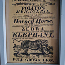 Load image into Gallery viewer, Vintage advertisement for Polito&#39;s Menagerie, a traveling exhibition of exotic animals picture frame, Genuine vintage book plate print

