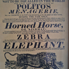 Load image into Gallery viewer, Vintage advertisement for Polito&#39;s Menagerie, a traveling exhibition of exotic animals picture frame, Genuine vintage book plate print

