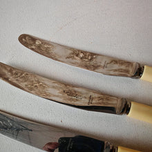 Load image into Gallery viewer, Set of 6 Vintage Butter Knives - E. Blyde &amp; Co Ltd, Sheffield - 20cm
