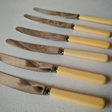 Load image into Gallery viewer, Set of 6 Vintage Butter Knives - E. Blyde &amp; Co Ltd, Sheffield - 20cm
