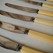 Load image into Gallery viewer, Set of 6 Vintage Butter Knives - E. Blyde &amp; Co Ltd, Sheffield - 20cm
