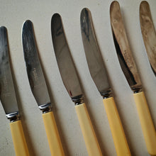 Load image into Gallery viewer, Set of 6 Vintage Butter Knives - E. Blyde &amp; Co Ltd, Sheffield - 20cm
