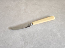 Load image into Gallery viewer, Mini Vintage Stainless Steel Butter Knife with Ivory-Colored Handle
