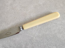 Load image into Gallery viewer, Mini Vintage Stainless Steel Butter Knife with Ivory-Colored Handle
