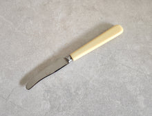 Load image into Gallery viewer, Mini Vintage Stainless Steel Butter Knife with Ivory-Colored Handle
