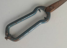 Load image into Gallery viewer, Vintage Garden Pruning Shears 17cm Metal Snips Blue Handle Rusty Patina Tool
