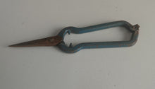 Load image into Gallery viewer, Vintage Garden Pruning Shears 17cm Metal Snips Blue Handle Rusty Patina Tool
