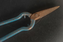 Load image into Gallery viewer, Vintage Garden Pruning Shears 17cm Metal Snips Blue Handle Rusty Patina Tool
