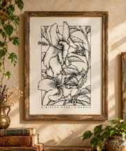 Load image into Gallery viewer, Hibiscus Rosa Sinensis Botanical Art Print A4 Black White Floral Wall Decor

