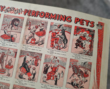 Load image into Gallery viewer, Vintage Circus Print – Jolly Joey and His Performing Pets Double Page Book Plate | 50.5 x 35 cm | An

