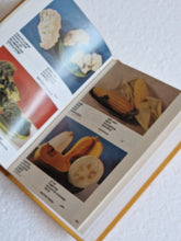 Load image into Gallery viewer, Passport to the world book , Vintage Rare Book, David Bluey, 1978
