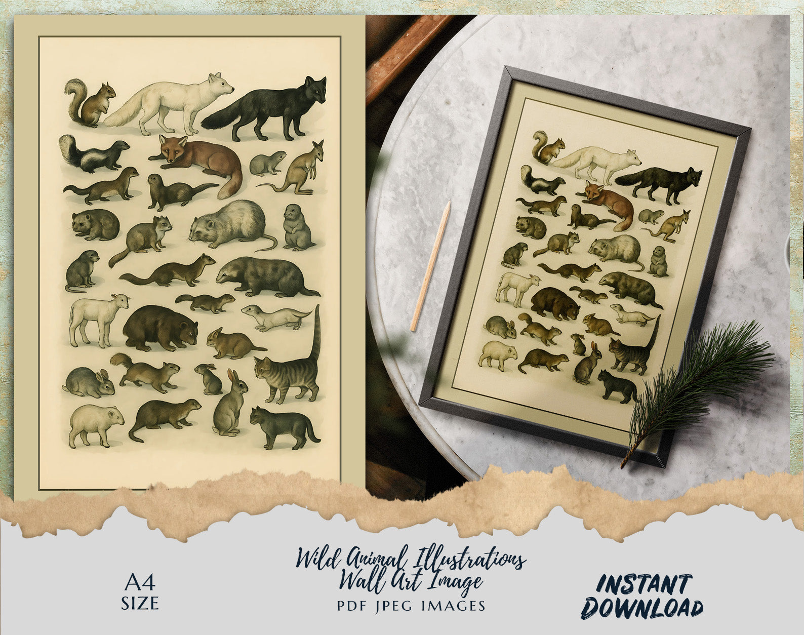 Wild Animal Illustrations Wall Art | A4 Printable Digital Download | Vintage Nature Animal Poster | Instant Download PDF JPEG File