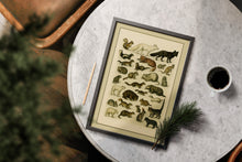Load image into Gallery viewer, Wild Animal Illustrations Wall Art | A4 Printable Digital Download | Vintage Nature Animal Poster | Instant Download PDF JPEG File
