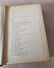 Load image into Gallery viewer, Mrs Halliburton&#39;s Troubles by Mrs Henry Wood - Hardback Vintage Book
