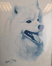 Load image into Gallery viewer, Vintage Robert J. May Framed Dog Print Samoyed Blue Toned Illustration
