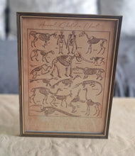 Load image into Gallery viewer, Vintage Style Animal Skeleton Chart Print in A4 Wooden Frame with Gold Border – Natural History Wall
