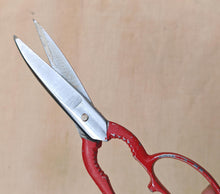 Load image into Gallery viewer, Vintage Multi-Purpose Kitchen Scissors – Red Cast Handle – Serrated Blades – 20cm Long
