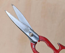 Load image into Gallery viewer, Vintage Multi-Purpose Kitchen Scissors – Red Cast Handle – Serrated Blades – 20cm Long
