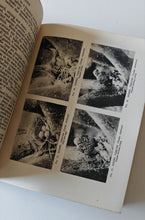 Load image into Gallery viewer, Nature by Day by Arthur R. Thompson 1934 Reprint Vintage Wildlife Book
