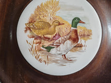 Load image into Gallery viewer, Vintage Mallard Duck Ceramic Wall Plaque , Framed in Solid Wood , 29.5cm Round , Rustic Country Wall
