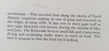 Load image into Gallery viewer, Vintage Hotel B.I Breakfast Menu Card From Uganda, Kittiwakes Bird Theme, Dated Monday 24th May 1971
