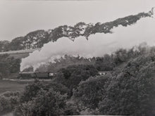 Load image into Gallery viewer, Black White Photo Locomotive Steam Engine North Yorkshireman 30/06/81 4472 Flying Scotman Arkholme e
