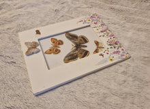 Load image into Gallery viewer, Vintage Print Moth Butterfly Cut-out Decoupage Floral Picture Frame Wooden Frame
