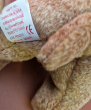 Load image into Gallery viewer, TY Beanie Baby Bean bag Plush Soft Toy Pecan Bear Retired 1999 With Tag Vintage
