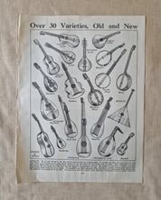 Load image into Gallery viewer, Vintage Drawing Image Book Plate Musical Instruments Image Illustrations Guitar Cither Banjo Balalai
