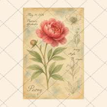 Load image into Gallery viewer, Vintage Floral Junk Journal Pages – 8 Printable Botanical Ephemera Sheets – Instant Download, PDF &amp; JPEG
