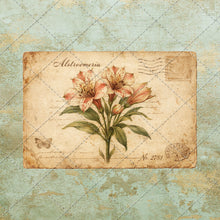 Load image into Gallery viewer, Vintage Floral Postcards PNG – Antique Botanical Ephemera Set Shabby Chic Flower Post Card Images, Printable Junk Journal, Scrapbooking
