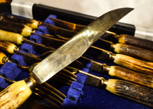 Load image into Gallery viewer, Set of 6 Steak knives and forks with antler handles, approx age from 1970&#39;s, gold plated, in box
