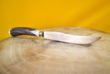 Load image into Gallery viewer, Steak knife and fork set with antler handles, approx age from 1970&#39;s, 1 knife, 1 fork
