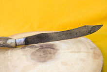 Load image into Gallery viewer, Vintage WM A Rogers Stag Horn Handle Kitchen Knife – 39cm Antique Chef Ware, Collectible Kitchen Tool

