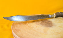 Load image into Gallery viewer, Vintage WM A Rogers Stag Horn Handle Kitchen Knife – 39cm Antique Chef Ware, Collectible Kitchen Tool
