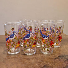 Load image into Gallery viewer, Vintage Bird-Themed Glasses Set Retro 10 Piece Drinks Set
