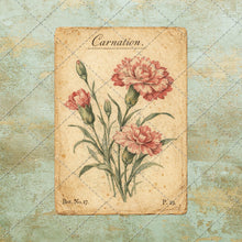 Load image into Gallery viewer, Antique Floral Postcard Bundle PNG | Vintage Botanical Clipart Set | Junk Journal Ephemera | Printable Shabby Chic Flower Images
