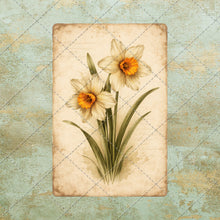 Load image into Gallery viewer, Antique Floral Postcard Bundle PNG | Vintage Botanical Clipart Set | Junk Journal Ephemera | Printable Shabby Chic Flower Images
