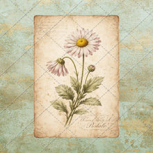 Load image into Gallery viewer, Antique Floral Postcard Bundle PNG | Vintage Botanical Clipart Set | Junk Journal Ephemera | Printable Shabby Chic Flower Images
