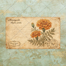 Load image into Gallery viewer, Antique Floral Postcard Bundle PNG | Vintage Botanical Clipart Set | Junk Journal Ephemera | Printable Shabby Chic Flower Images
