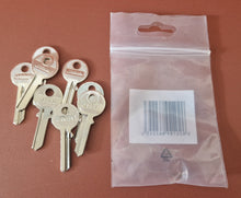 Load image into Gallery viewer, 8 x JMA TRI-5D Cylinder Key Blank for Tri-circle Silver Finish
