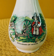 Load image into Gallery viewer, James Kent Old Foley Vintage Souvenir Of Wales Small Vase
