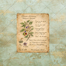 Load image into Gallery viewer, Vintage Scrapbook Ephemera Kit – 30 Antique Printable Papers, Junk Journal Collage Pack, Old Labels, Letters &amp; Botanical PNG PDF Download
