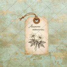 Load image into Gallery viewer, Vintage Scrapbook Ephemera Kit – 30 Antique Printable Papers, Junk Journal Collage Pack, Old Labels, Letters &amp; Botanical PNG PDF Download
