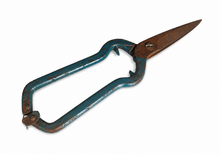 Load image into Gallery viewer, Vintage Garden Pruning Shears 17cm Metal Snips Blue Handle Rusty Patina Tool
