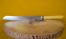 Load image into Gallery viewer, Cathedral Cutlery Robert F Wilding &amp; Co Bread Knife, Vintage Plastic Cream Handle Kitchen Knife
