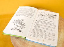 Load image into Gallery viewer, Brer Rabbit's a Rascal by Enid Blyton (Hardback, 1965) , Vintage Children Story Book
